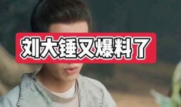 刘大锤爆料最新白鹿,白鹿新动态，神秘事件引关注