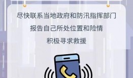 暴雨热点爆料新闻视频播放,现场惊心动魄