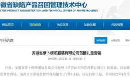 服装爆料最新消息新闻,时尚界新潮流，服装界最新动态揭秘