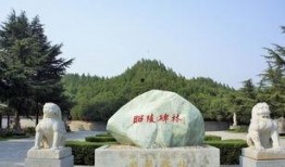 运城袁家村爆料案最新