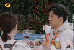 苏有朋最新爆料杨紫视频,视频曝光两人默契互动