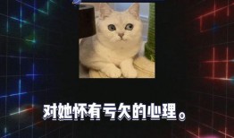 娱乐718免费吃瓜,免费吃瓜盛宴，带你畅游娱乐圈