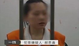 爆料小关老师视频,一场引人入胜的爆料盛宴