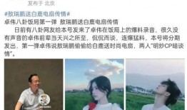 卓伟爆料白鹿视频在线观看,白鹿视频在线观看，精彩瞬间不容错过！